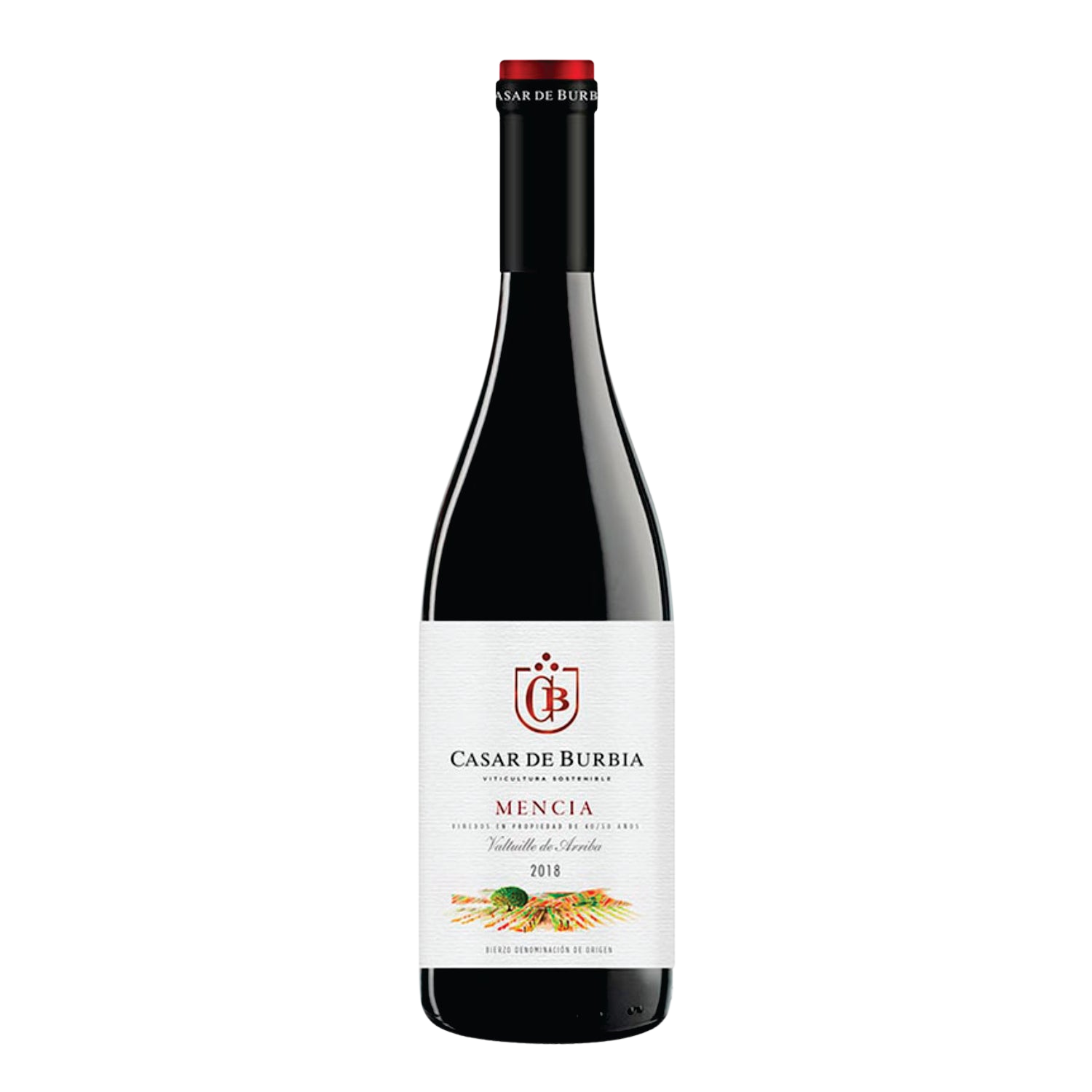 Casar de Burbia, Mencia Tinto 2020, D.O. Bierzo, Castilla y Leon