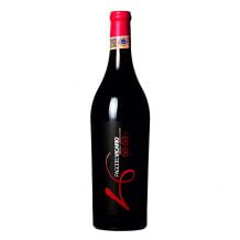 Pago del Vicario, 50-50, D.O. Pago del Vicario 2019